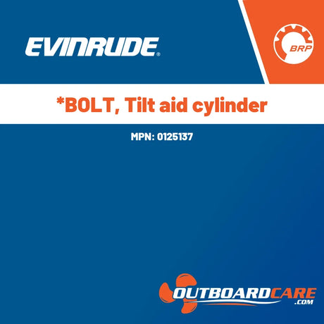 0125137 *bolt, tilt aid cylinder Evinrude