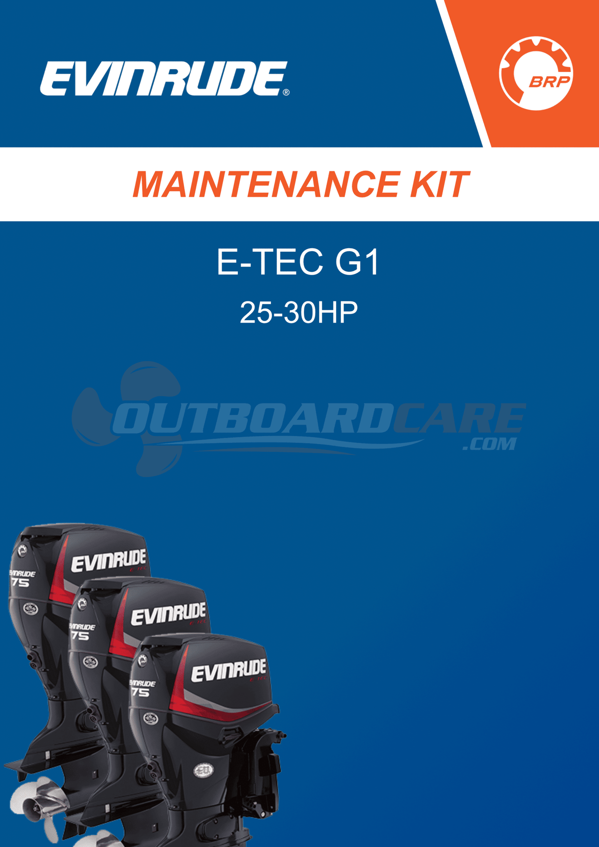 Kit di manutenzione E-TEC 25-30HP