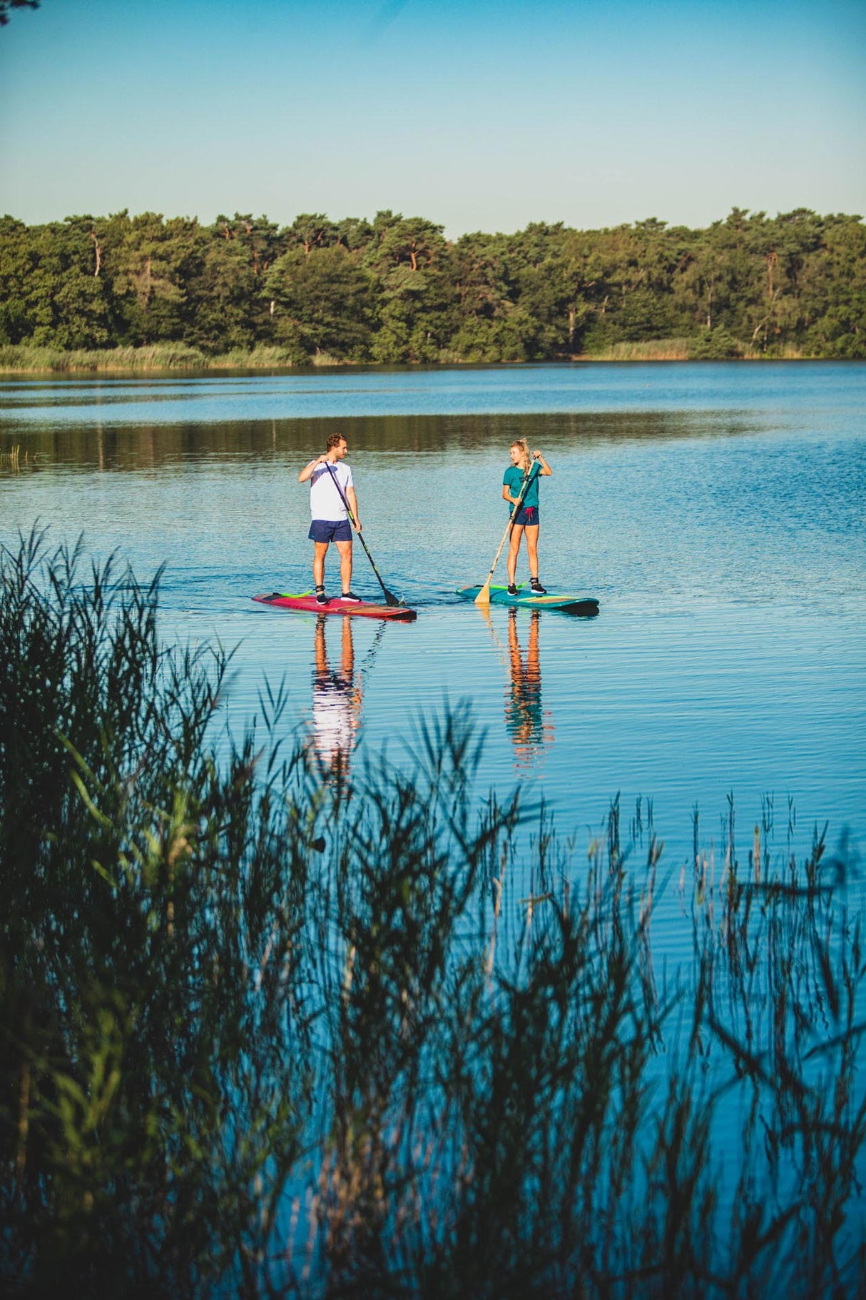 Parana 11.6 Bamboo Paddle Board