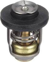 Thermostat kit 40HP (3-Cyl)