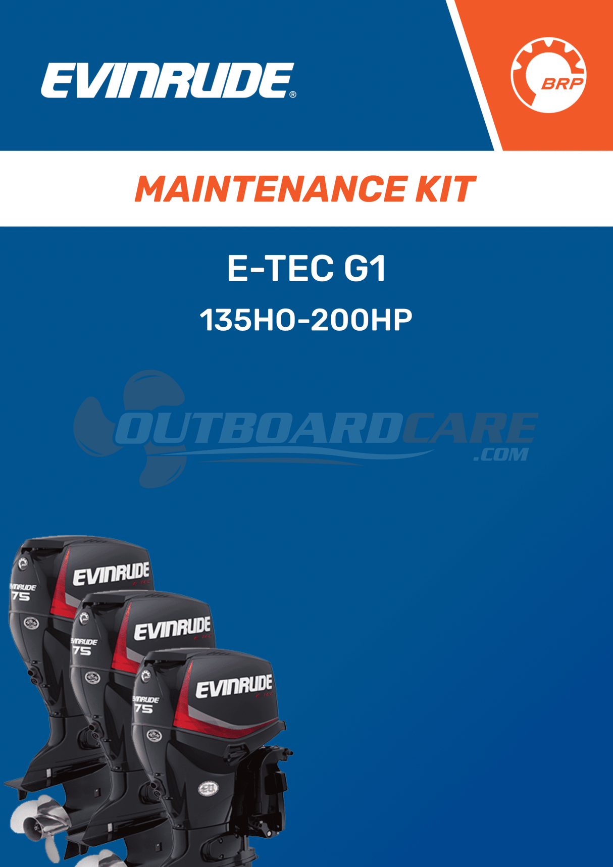 Kit di manutenzione E-TEC 135HO-200 HP